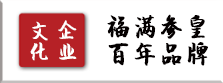 参皇文化